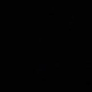 Meet your Posher, Shane